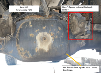 1692939087639.png 1692939087639.png