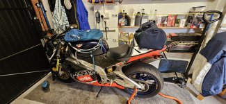 20230826_133307.jpg 20230826_133307.jpg