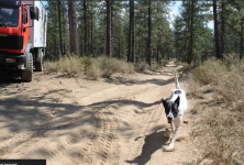 1693100005168.png 1693100005168.png