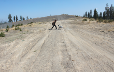 1693176900116.png 1693176900116.png