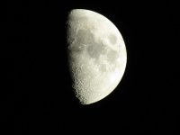 IMG_0785.JPG IMG_0785.JPG