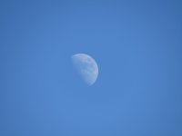 IMG_0617.JPG IMG_0617.JPG