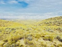 IMG_0331.JPG IMG_0331.JPG