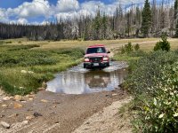 IMG_0347.JPG IMG_0347.JPG