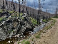 IMG_0348.JPG IMG_0348.JPG