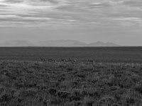 IMG_5223.JPG IMG_5223.JPG