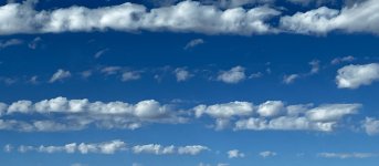 IMG_5312.JPG IMG_5312.JPG