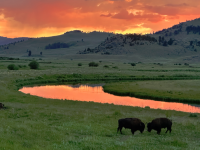 1693439454119.png 1693439454119.png