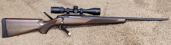 PXL_20230821_155006442.jpg PXL_20230821_155006442.jpg