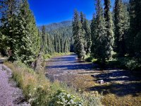 IMG_2377.jpeg IMG_2377.jpeg