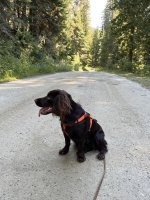 IMG_2349.jpeg IMG_2349.jpeg