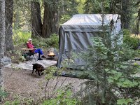 IMG_2328.jpeg IMG_2328.jpeg