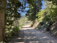 IMG_2347.jpeg IMG_2347.jpeg