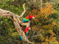 PXL_20230820_122715680.jpg PXL_20230820_122715680.jpg