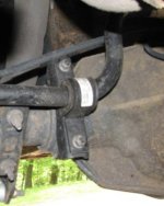 IMG_4978.jpeg IMG_4978.jpeg