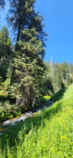 20230824_110630.jpg 20230824_110630.jpg