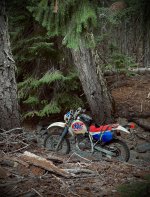 1994 XR650L .jpeg 1994 XR650L .jpeg