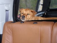 PA090016.jpg PA090016.jpg