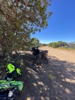 78C48798-E818-4315-8FCE-7E40711382F6.jpeg 78C48798-E818-4315-8FCE-7E40711382F6.jpeg