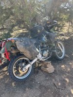 B4CD94C7-7C04-4BDC-90D8-E3ED822253EF.jpeg B4CD94C7-7C04-4BDC-90D8-E3ED822253EF.jpeg