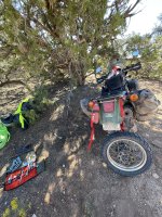 BA20ECEF-EDCC-46C4-8441-E75DB929EE48.jpeg BA20ECEF-EDCC-46C4-8441-E75DB929EE48.jpeg