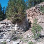 IMG_20230917_105901_175.jpg IMG_20230917_105901_175.jpg