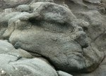 1-08-09StoneFace(em).jpg
