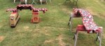 DSC06669.JPG