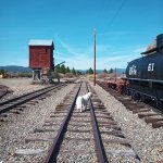 IMG_20230917_115110_328.jpg IMG_20230917_115110_328.jpg