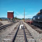 IMG_20230917_115111_831.jpg IMG_20230917_115111_831.jpg