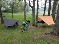 IMG_20210425_064127427.jpg IMG_20210425_064127427.jpg