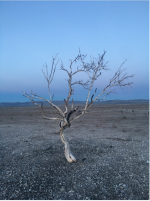 1695183908619.png 1695183908619.png