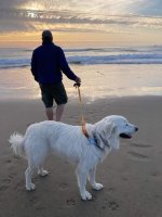 FB_IMG_1695497793957.jpg FB_IMG_1695497793957.jpg