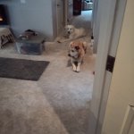 IMG_20230923_081849_869.jpg IMG_20230923_081849_869.jpg