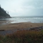 IMG_20230923_111459_194.jpg IMG_20230923_111459_194.jpg