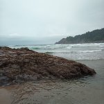 IMG_20230923_112830_305.jpg IMG_20230923_112830_305.jpg