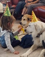 FB_IMG_1695526222483.jpg FB_IMG_1695526222483.jpg