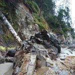 IMG_20230923_112838_314.jpg IMG_20230923_112838_314.jpg