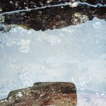 IMG_20230923_113533_633.jpg IMG_20230923_113533_633.jpg