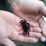 IMG_20230923_114136_548.jpg IMG_20230923_114136_548.jpg