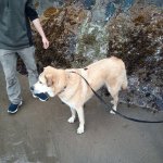 IMG_20230923_114320_086.jpg IMG_20230923_114320_086.jpg