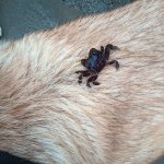 IMG_20230923_114324_002.jpg IMG_20230923_114324_002.jpg