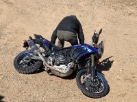 IMG_2889.jpeg IMG_2889.jpeg