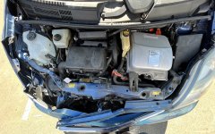 IMG_3877.jpeg IMG_3877.jpeg