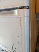 PXL_20230621_164200363 copy.jpg