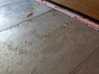 PXL_20230621_173248089 copy.jpg