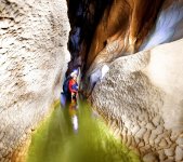 acti004-663x590.jpg acti004-663x590.jpg