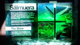 IMG_20171211_123313.jpg IMG_20171211_123313.jpg