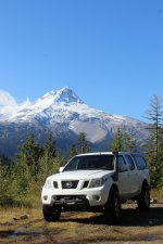 IMG_3431.jpeg IMG_3431.jpeg