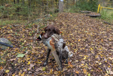 1697037450447.png 1697037450447.png